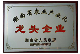 榮譽資質